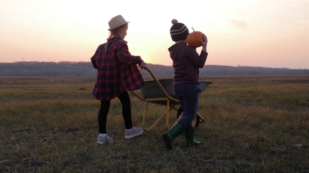 Two kids seen from behind carrying pumpkins and a wheelbarrow across a farm field at sunset