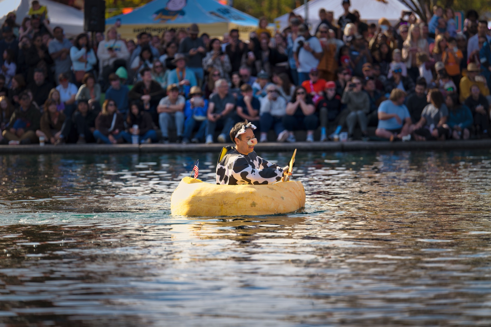 A paddler dressed as a cow in a giant pumpkin on Tualatin Commons lake