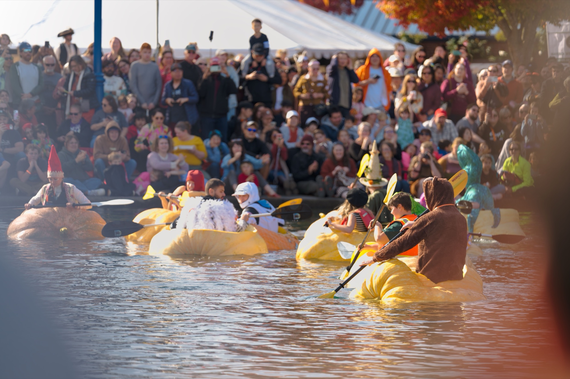 Costumed paddlers in hollowed-out giant pumpkins at the starting line of the fifth race